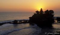  Songes-aquatiques Bali Tahn Ahn Lotreccorr.thumb.jpg